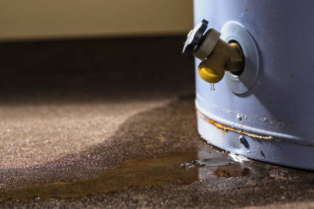 Best Water damage contractors near me  in Wesson, MS