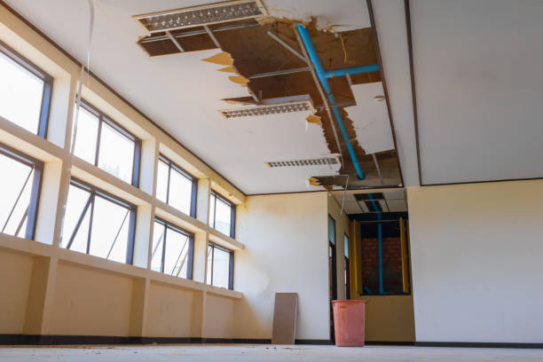 Best Water damage restoration services  in Wesson, MS