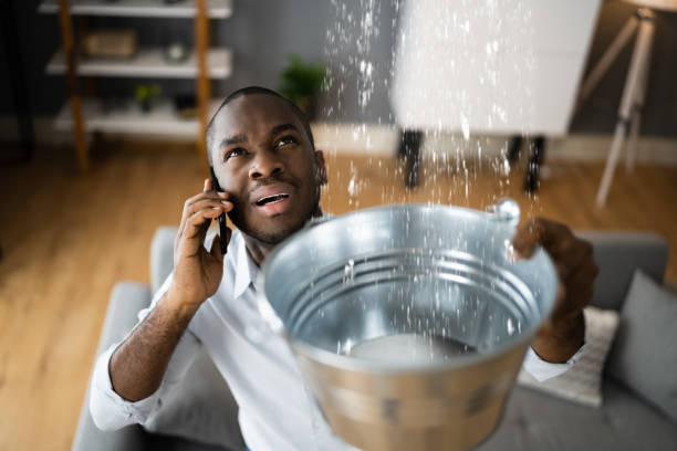 Best 24/7 water damage repair  in Wesson, MS