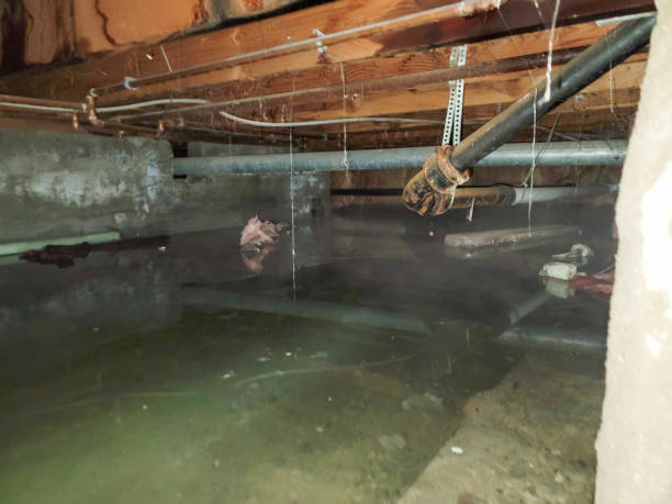 Best Water damage restoration near me  in Wesson, MS