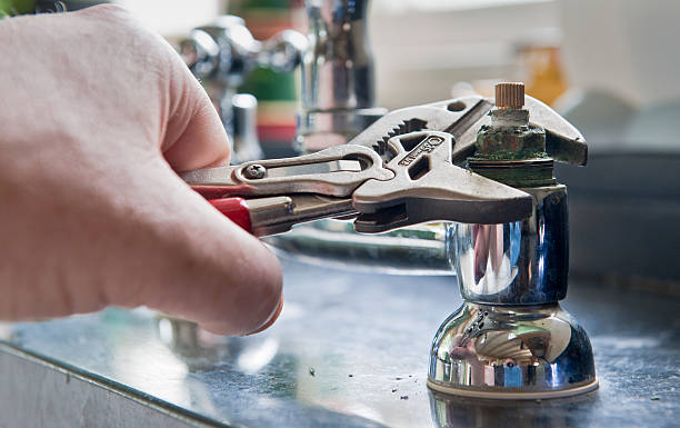 Best Professional water damage repair  in Wesson, MS