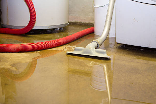 Best Commercial water damage restoration  in Wesson, MS