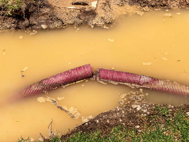 , MS Water damage restoration Company