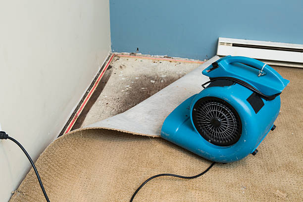 Best Water damage restoration process  in Wesson, MS
